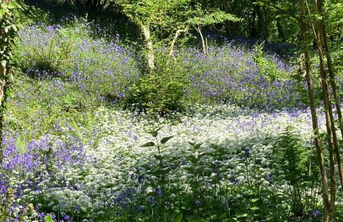Lower Marsh Farm in Cornwall - Photo 20