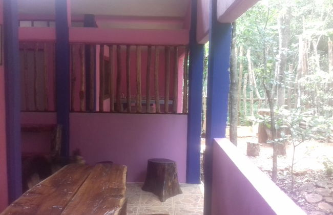 Hotel y Temazcal en Solferino - Foto 15