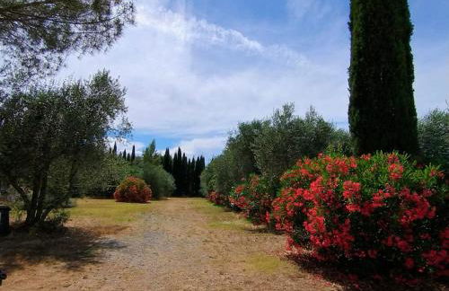 Agriturismo Il Riccio - Foto 9