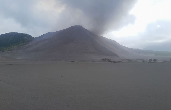 Glowing Mountain view tree house - Photo 50