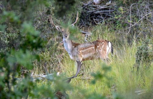 Mirador de El Yelmo - Foto 22