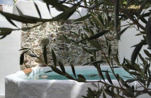 Pé na Terra Quintal - Foto 62