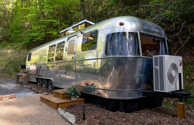 Creekside Fern in Pisgah Forest - Foto 38