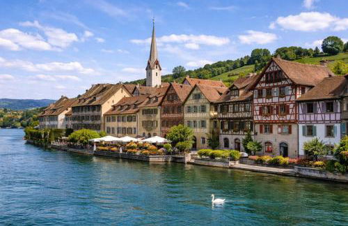 Exklusive LOFT-Wohnung, nur 30 Min von Zürich - Foto 41