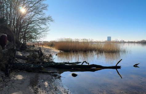 Sunlit Garden - Ruhig am Wald nahe Warnow Rostock - Kamin - Foto 31