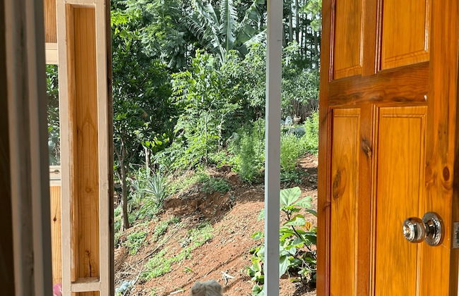 Midori Coffee Farm - Photo 30