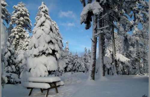 Maison charmante avec jardin à Haselbourg - Vue sur montagnes - Foto 31