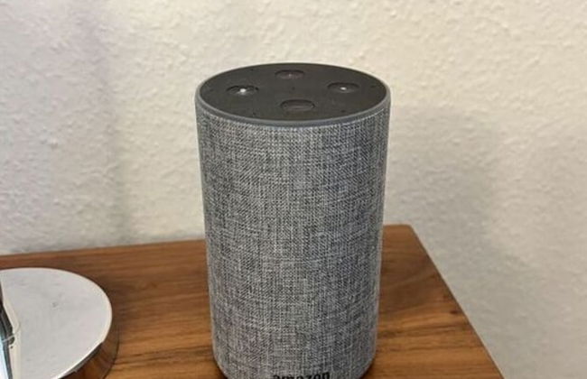 Villa Frisia 18 Comfortable Holiday Residence - Foto 33