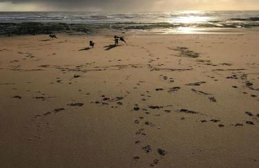 The Old Dairy with Parking - Dog Friendly - Foto 22