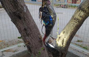 Olea House - Foto 49