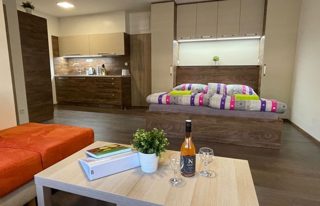 Apartmany Vlčková - Photo 78