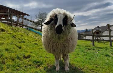 Ferienhof Rüßmann - Foto 39