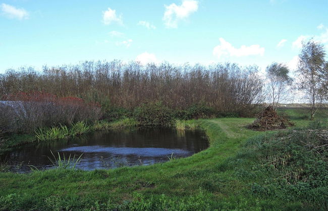 Agriculture - Studios, Borzyslawiec by Lubczyna, Close to the Harbour - Photo 9