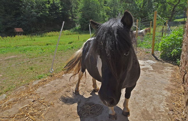 Wohnung in Huddingen mit Terrasse - Foto 19