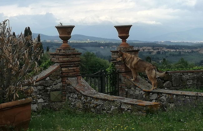 Agriturismo Podere La Cava - Photo 27