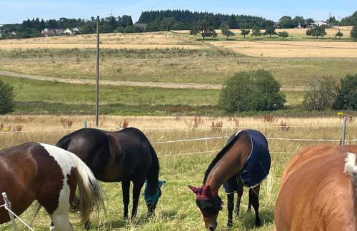 Ferienwohnung auf dem Bauernhof - Hermanns Lodge - Foto 6