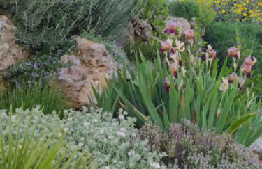 Finca Las Morenas - Foto 57