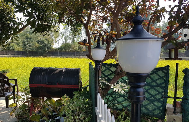 Koko's Farm - Foto 30