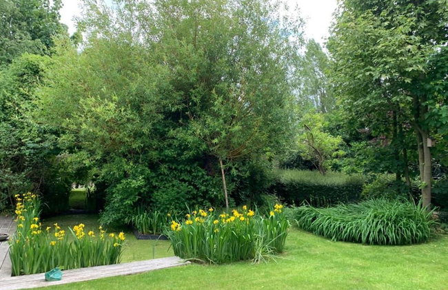 Charming Home w/ Garden - Foto 39