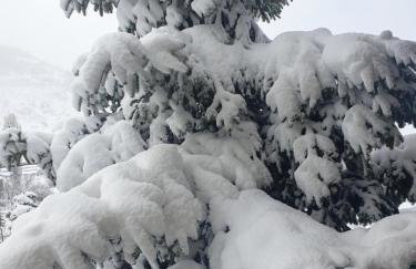 Krystal Hotel - Foto 35