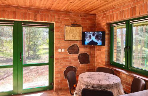 Raj na Kaszubach - Pałubicka Bór - Domy na Wynajem - Foto 32