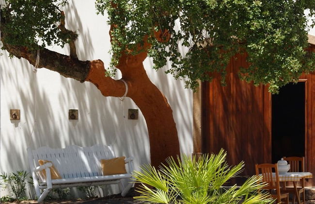 Quinta dos Ribeiros - Photo 59