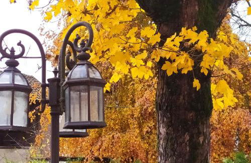 Corte dell'Uva - Foto 19