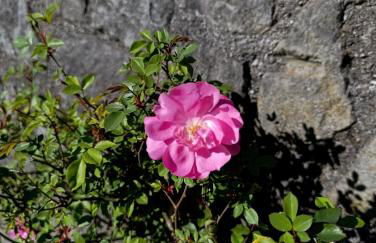 La Casa del Sole - Foto 30