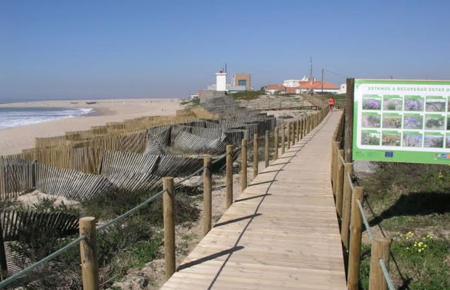 Miramar on Beach View Villa - Photo 75