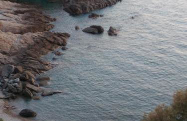 Studio Kalogridis - Foto 23