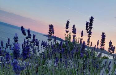 Apartmani NIKA - Photo 41