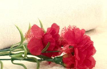 Spacious 3BR 3BA Home ,Sleep 9,3 Car Garage Garden Near DTLA Pasadena Hollywood - Foto 13