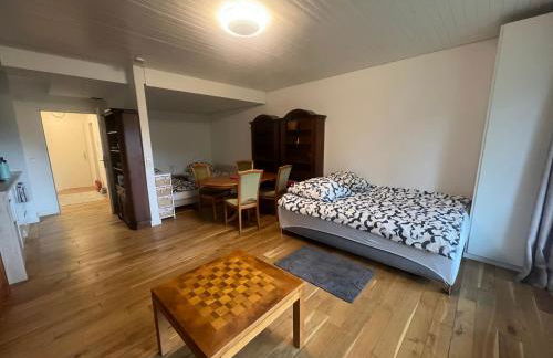 Beautiful apartment & pool Black Forest Häusern 5 people - Foto 3