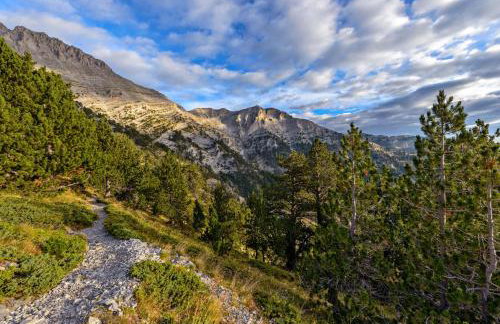 Jayne's Rooms - Elassona Central Getaways - Photo 22