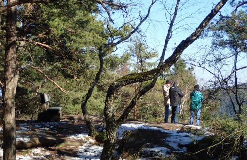 Feriengaleriewohnung Im Denkmal Stilvoll-Komfortabel Baubiologisch - Foto 20