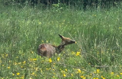 Martha's retreat - Photo 9