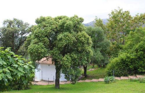 Finca El Campo - Foto 27