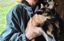 Quinta da Tapada - Foto 35