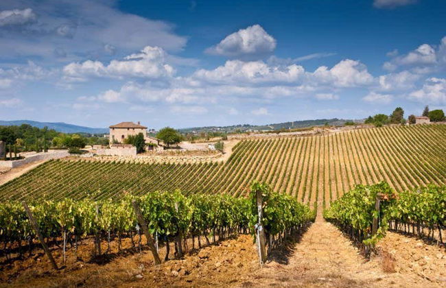 Excursion à San Gimignano, Sienne, Chianti et Monteriggioni - Photo 4