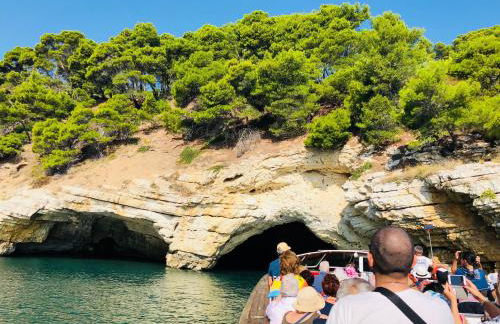 Belvedere Home - Foto 45