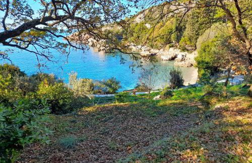 Apartments Neonila - Foto 12