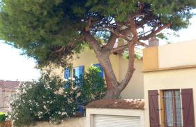 Cocon love port de l estaque - Foto 19