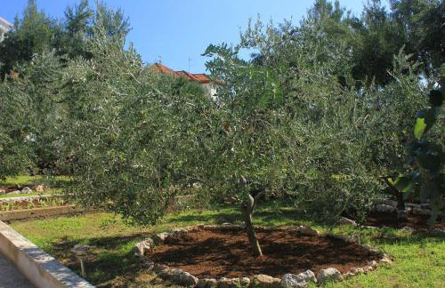 Apartments by the sea Sutomiscica, Ugljan - 8474 - Photo 12