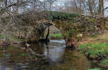 A casa de Xues - Foto 20