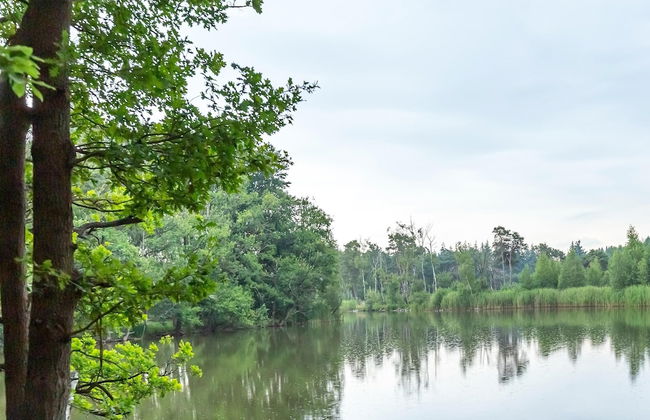 Attractive Holiday Home in Gorp and Roovert Estate - Photo 78