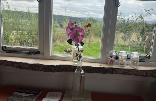 Luxury Shepherd's Hut Style Cabin With Views - Photo 31