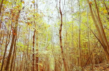 Ferienwohnung Renke - Foto 14