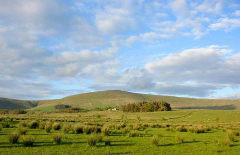 Bleasdale at Lantern and Larks - Foto 37