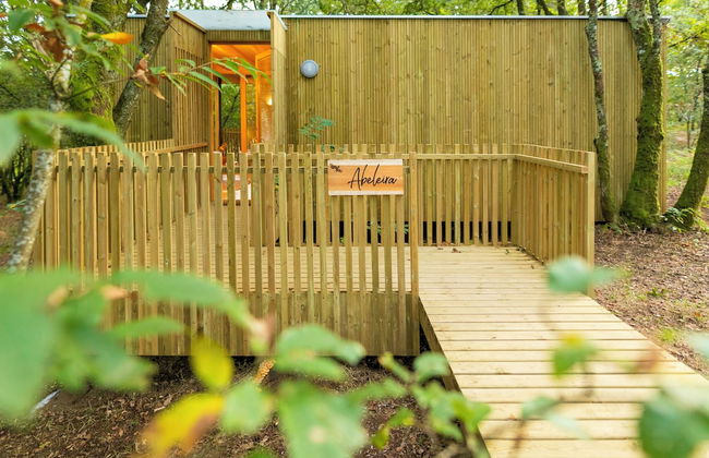 Enoturismo María Manuela - Photo 10