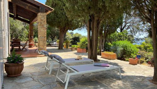 Les Stoechades - Foto 3, Garden, sunbed, Garden view